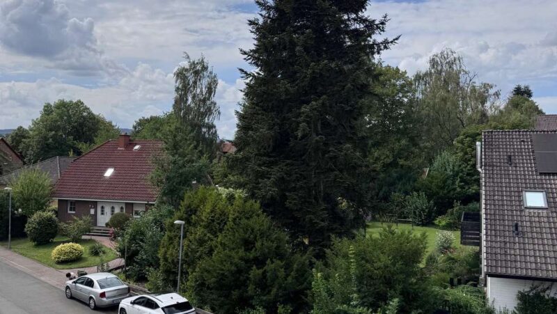 Ausblick