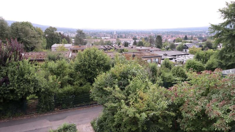 Ausblick Springe